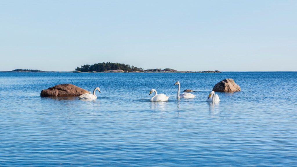 Ändrade öppettider med anledning av Kristi himmelsfärds dag